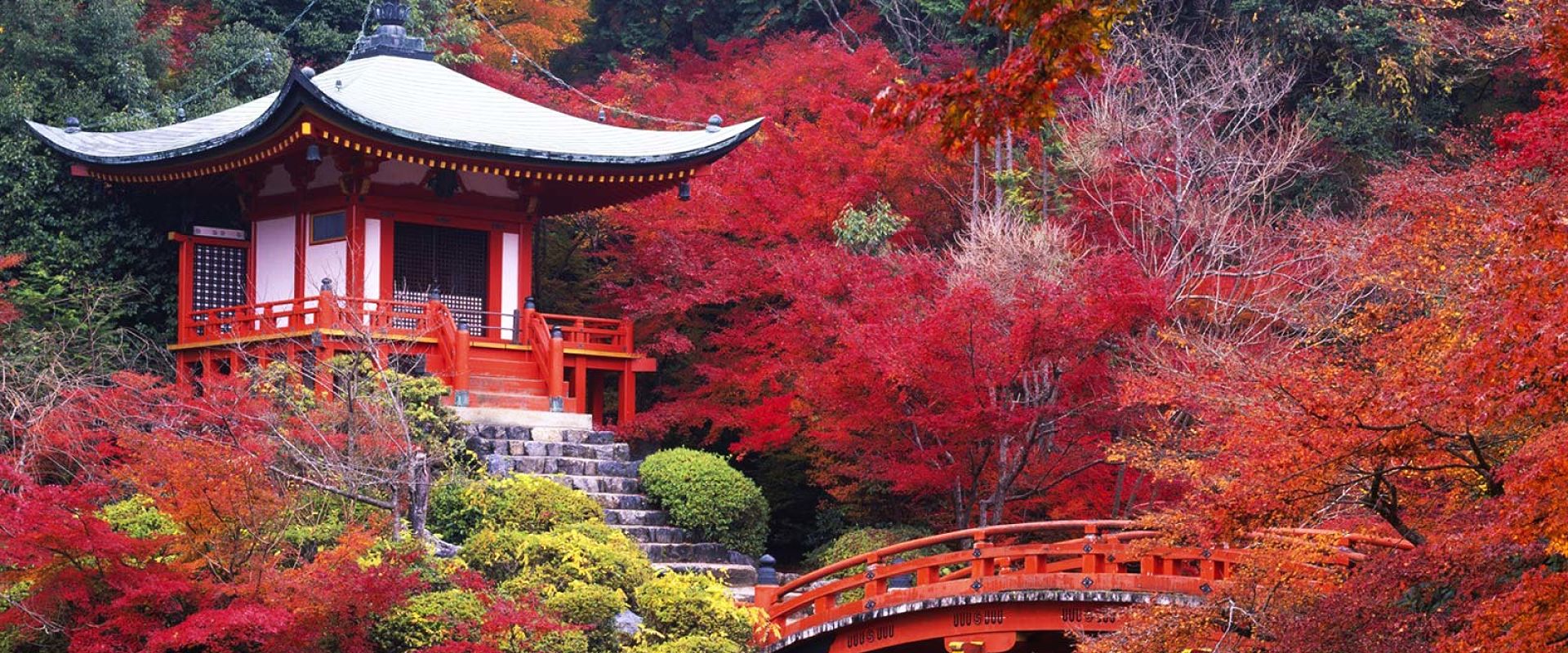 Jardin japonais