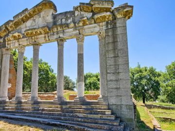 Appolonia